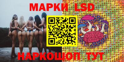 трава Кингисепп