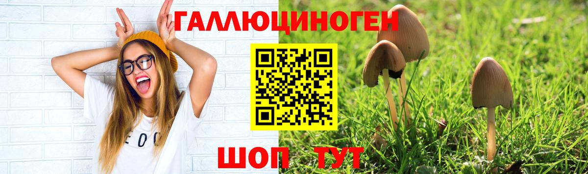 Благовещенск  Галлюциногенные грибы Cubensis  Вход с VPN  Галлюциногенные грибы Psilocybine cubensis 