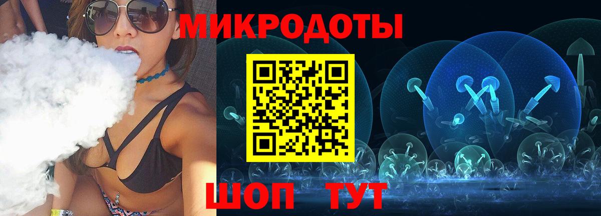 Псилоцибиновые грибы Psilocybine cubensis Благовещенск